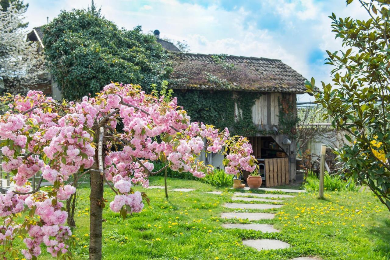 Villa Sonnenschein 텔라노 외부 사진